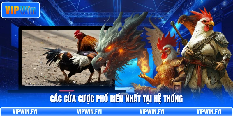 Các cửa cược phổ biến nhất tại hệ thống