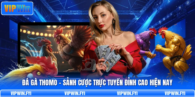Đá Gà Thomo - Sảnh Cược Trực Tuyến Đỉnh Cao Hiện Nay