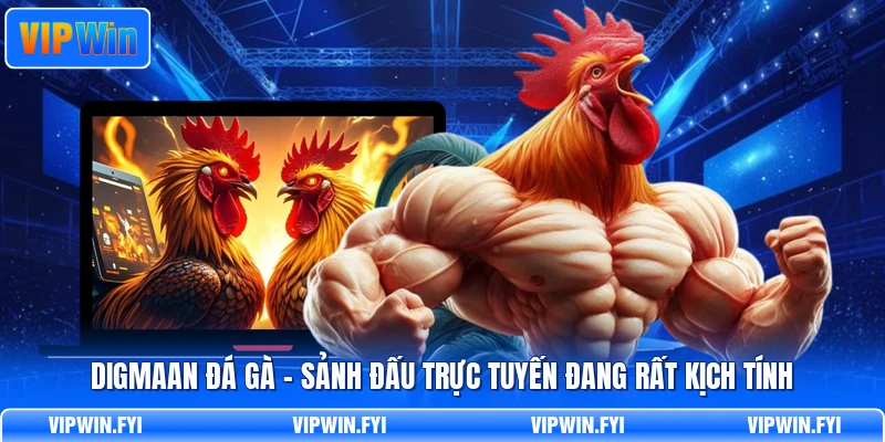Digmaan Đá Gà - Sảnh Đấu Trực Tuyến Đang Rất Kịch Tính