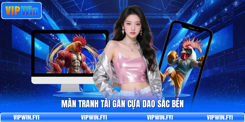 Màn tranh tài gắn cựa dao sắc bén