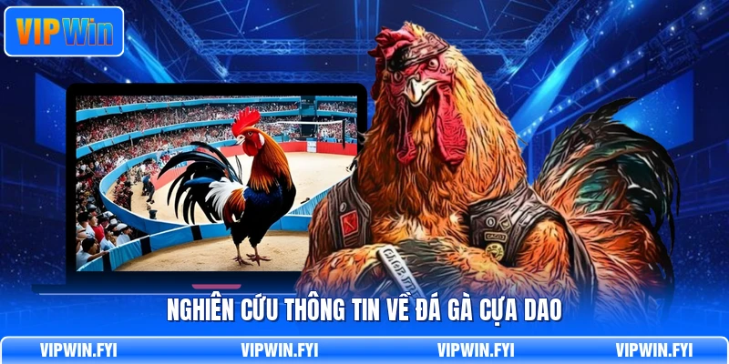 Nghiên cứu thông tin về đá gà cựa dao
