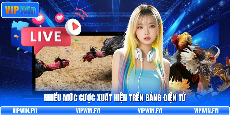 Nhiều mức cược xuất hiện trên bảng điện tử
