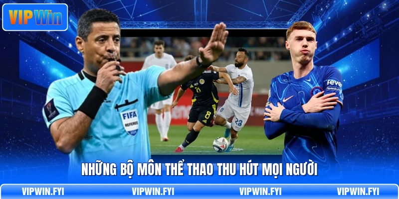 Những bộ môn thể thao thu hút mọi người