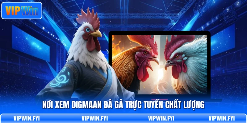 Nơi xem Digmaan đá gà trực tuyến chất lượng