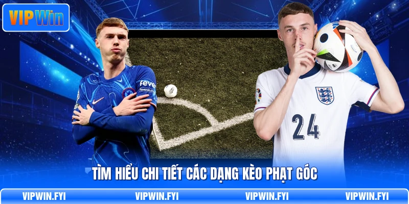 Tìm hiểu chi tiết các dạng kèo phạt góc
