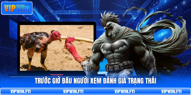 Trước giờ đấu người xem đánh giá trạng thái